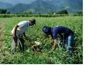 MAPA e Banco do Nordeste lançam programa de fomento à agricultura irrigada da Região